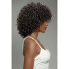 Janet Collection Natural Curly Premium Synthetic Wig - Natural Kellen