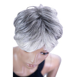 Model Model Sterling Queen Synthetic Wig – SQ-02