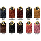 Bigen Semi-Permanent Hair Color – Medium Warm Brown WB3 3.0 OZ